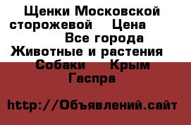 Щенки Московской сторожевой  › Цена ­ 25 000 - Все города Животные и растения » Собаки   . Крым,Гаспра